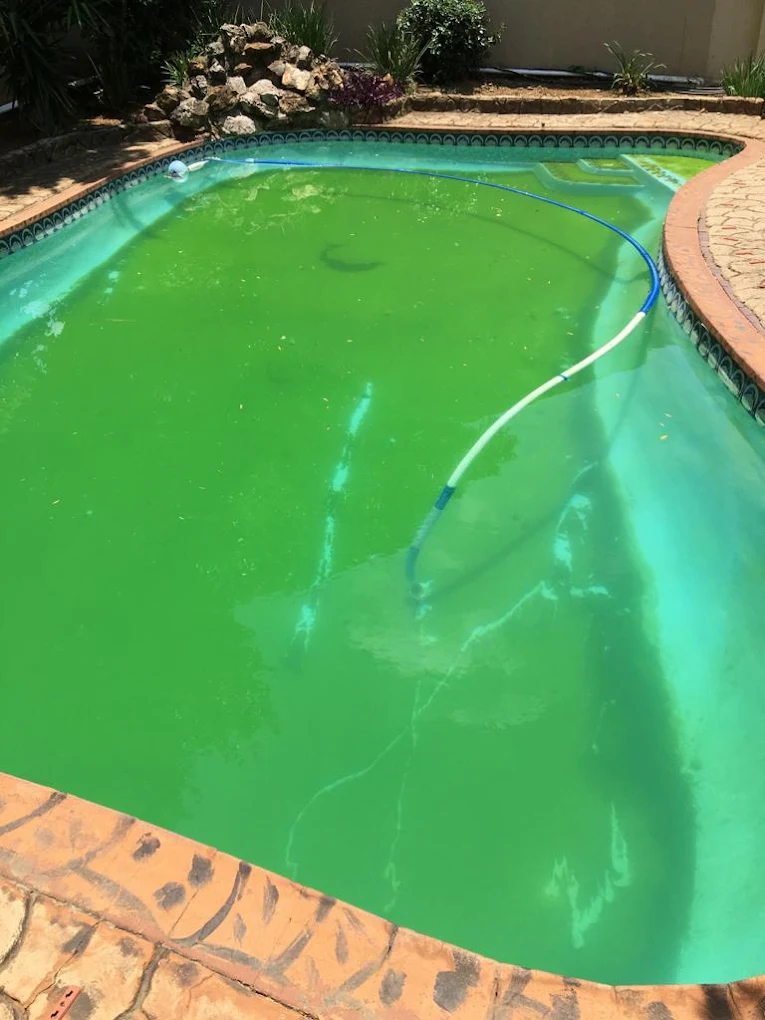 Green Pool Before